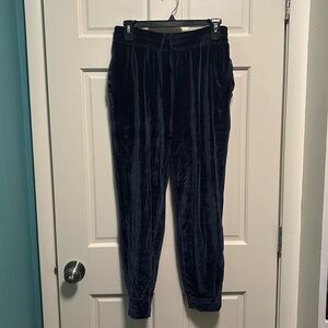 Fabletics Navy Blue Velvet Jogger Pants